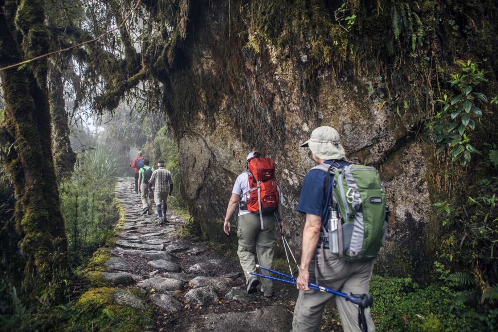 Campamento de trekking en el Camino Inca con vista a los Andes