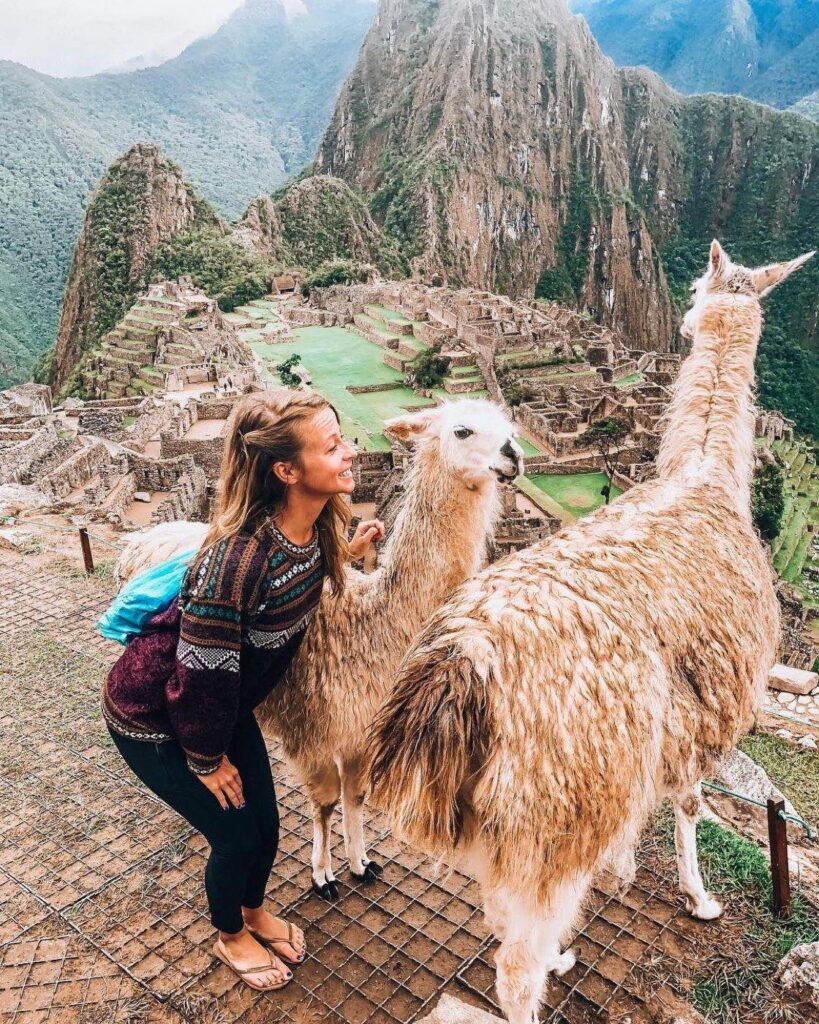 Llama pastando frente a las terrazas de Machu Picchu, un clásico de la fotografía del lugar